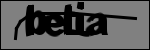 متن برای شناسایی